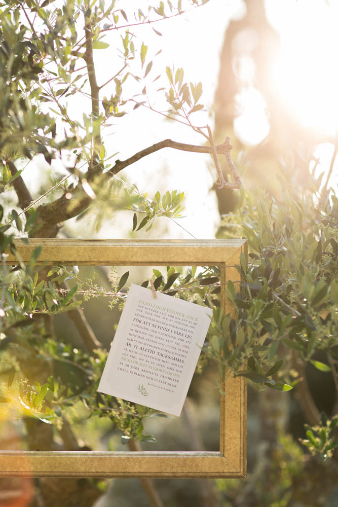 Summery-Spanish-Wedding-Castell-DEmporda-Lena-Larsson (2 of 25)