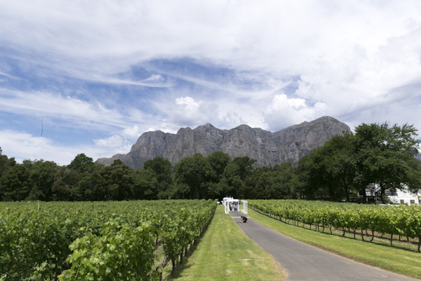 vineyard weddings in South Africa, photo by Zara Zoo | via junebugweddings.com