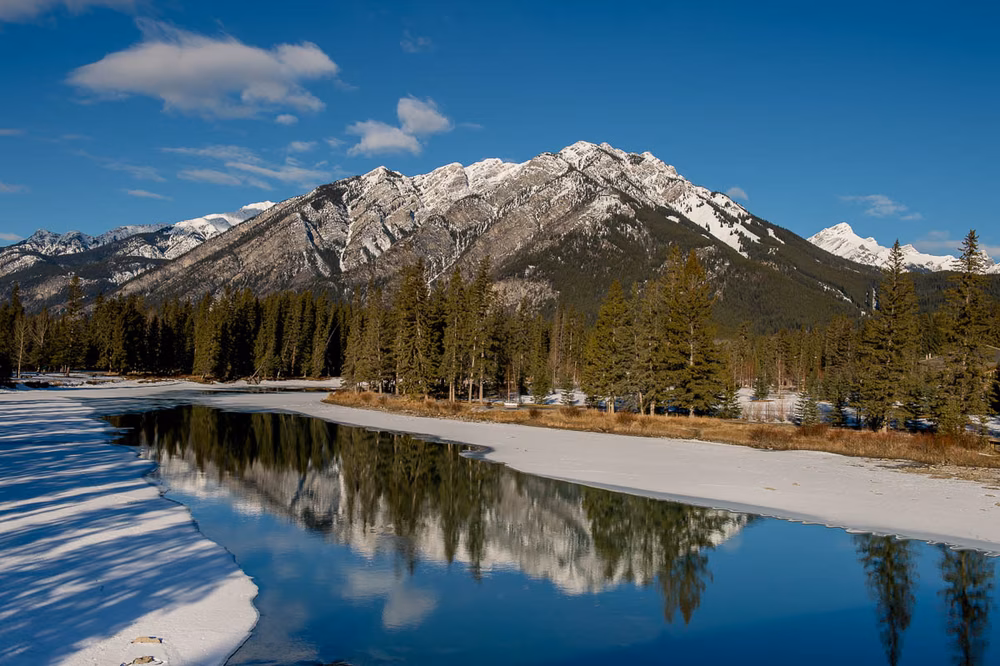 Quirky-Retro-Banff-Wedding (1 of 24)