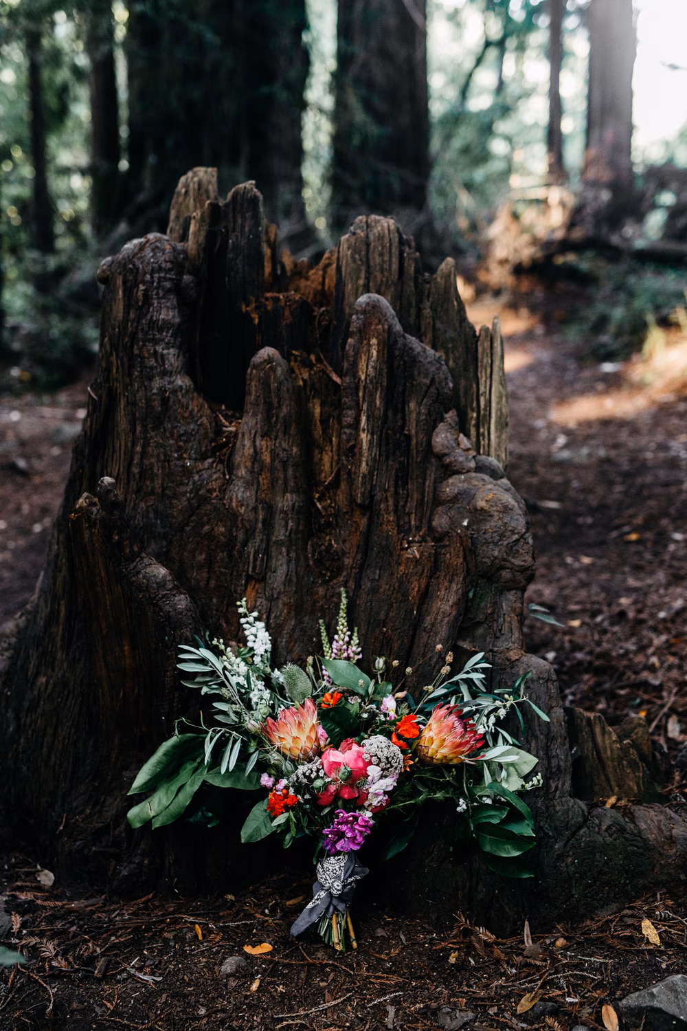 erinwheatcobigsur-5012