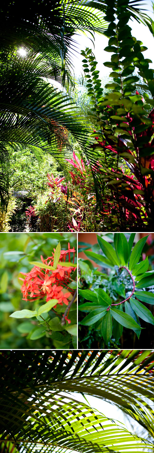 modern tropical wedding floral and fashion design photo shoot from Jubilee Events, photos by Carla Ten Eyck modern tropical wedding floral and fashion design photo shoot from Jubilee Events, photos by Carla Ten Eyck