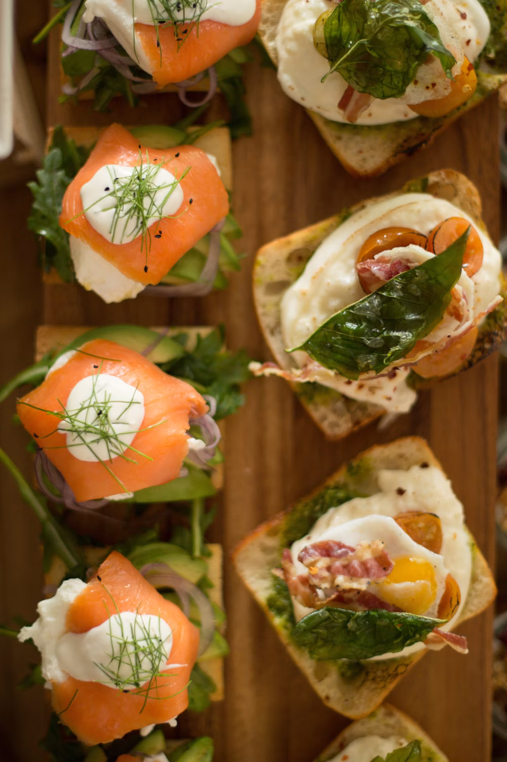salmon