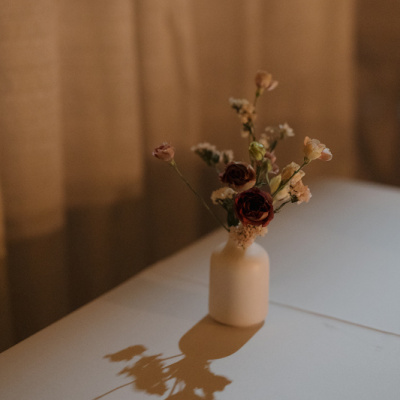 Alison Renee Photography photo