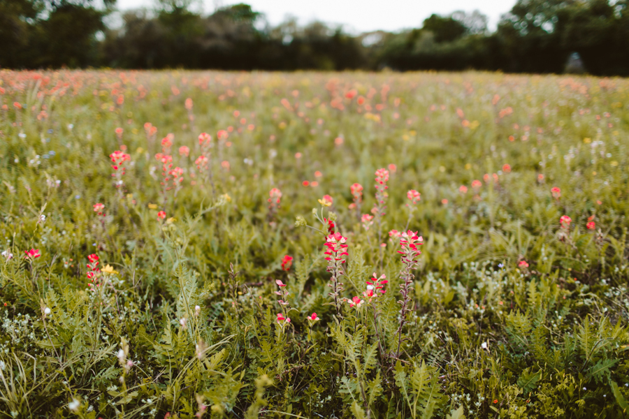 positively-charming-small-town-texas-wedding-at-henkel-hall-2