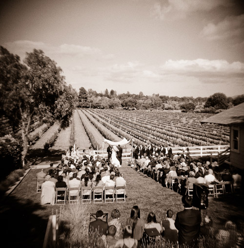 rustic yellow and champagne vineyard wedding in Santa Ynez, CA - photos by Michelle Warren Photography| jvia unebugweddings.com rustic yellow and champagne vineyard wedding in Santa Ynez, CA - photos by Michelle Warren Photography| jvia unebugweddings.com