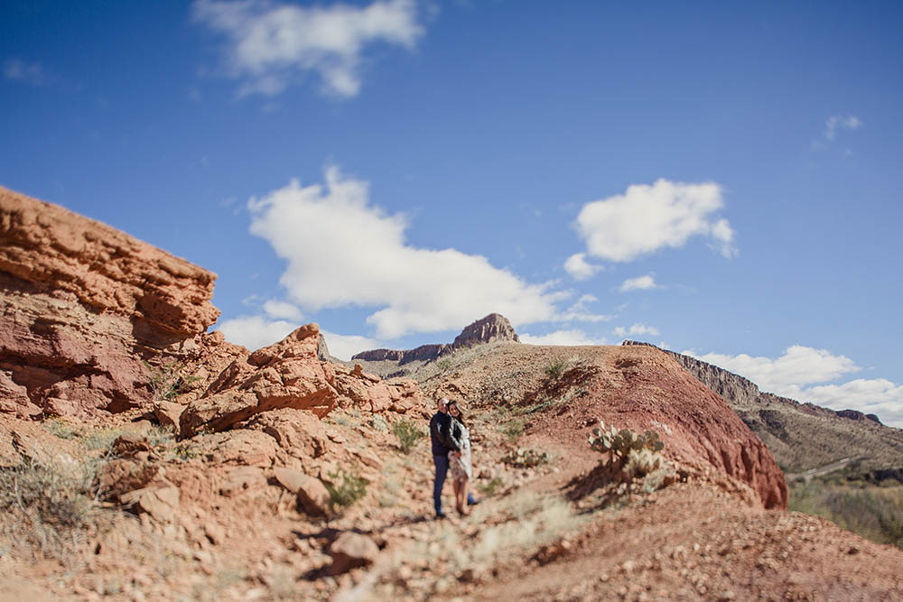 Desert-Engagement-Big-Bend-Shaun-Menary (3 of 25)