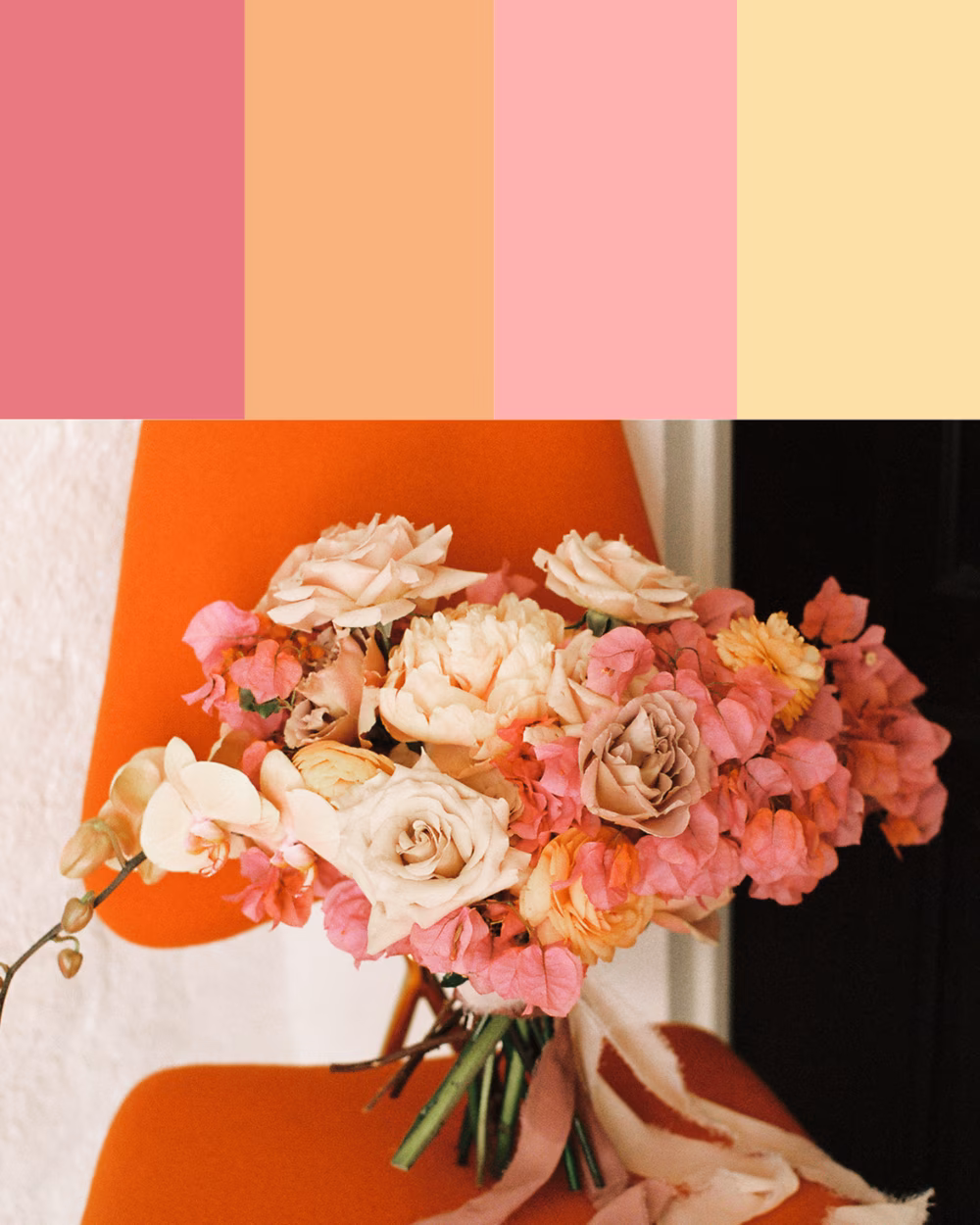 peachy pink floral color palettes graphic