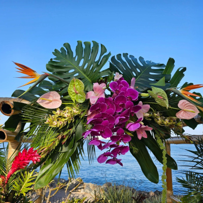 Feral Rose Floral Design photo