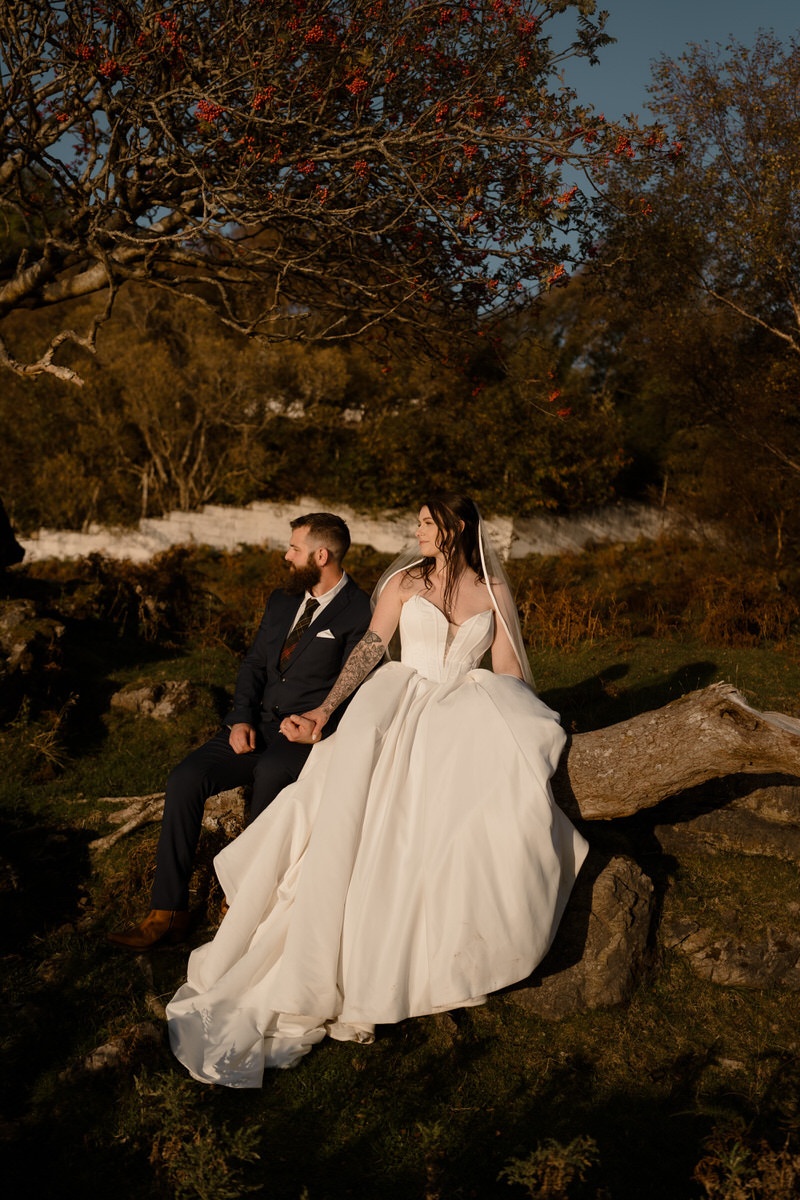 Vendor photo
