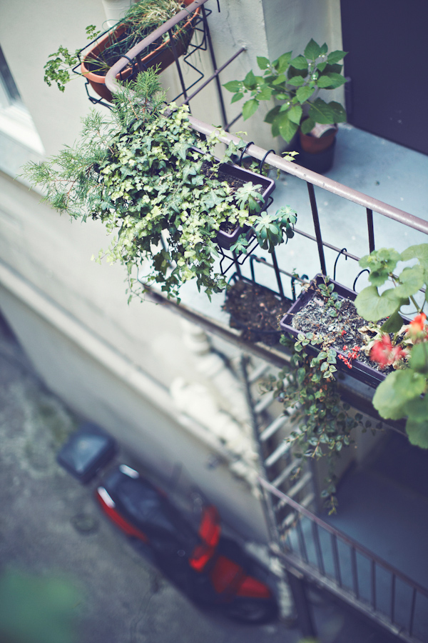 Paris destination wedding at the Westin Vendome, photo from The Mou Studio | via junebugweddings.com (45)
