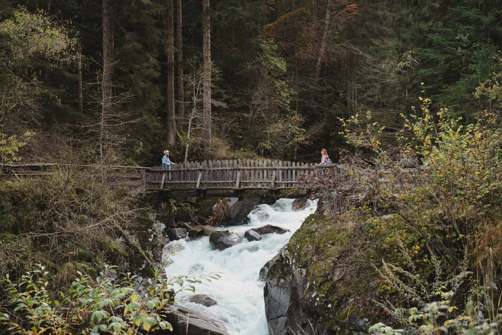 Forest-Engagement-in-Italy-6