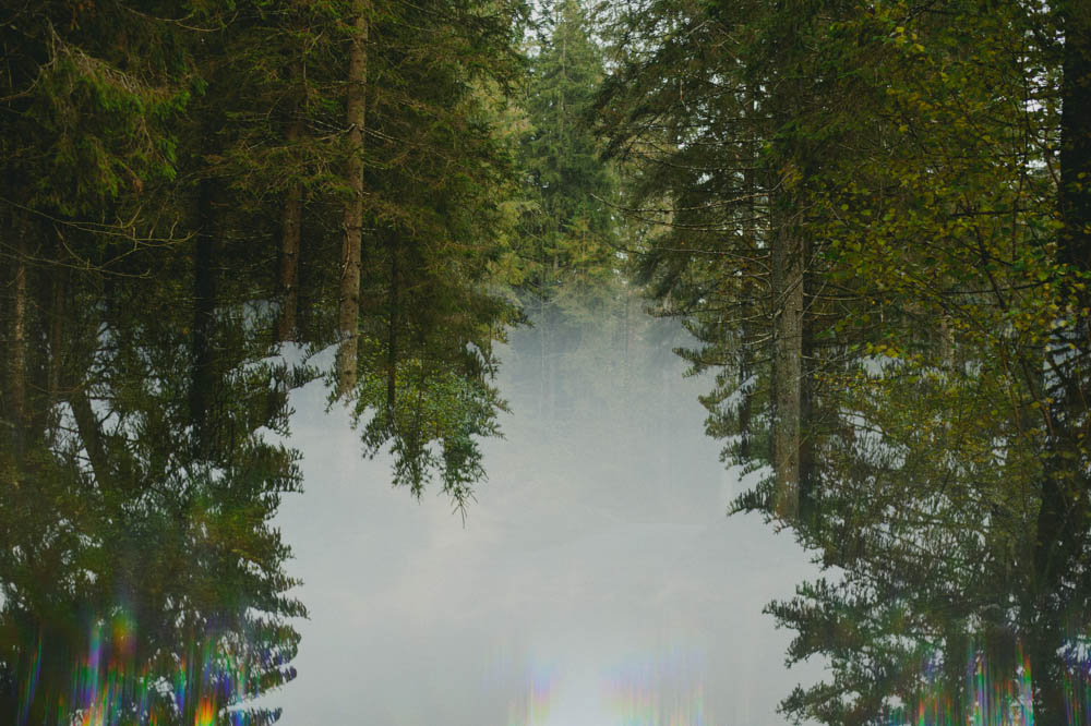 Forest-Engagement-in-Italy-3