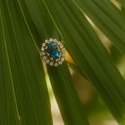 Danielle Williams Photography photo