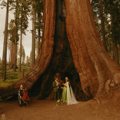 Image by BreeAnna Lasher taken in Sequoia National Park, CA, USA