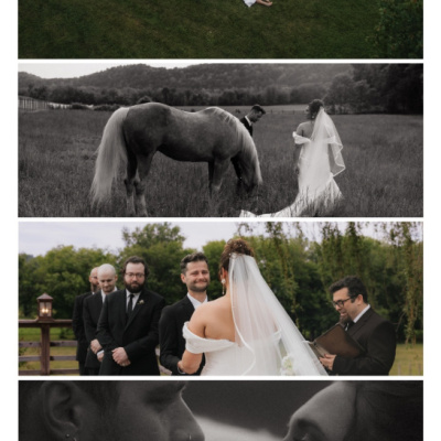 Allison Joy Photography photo