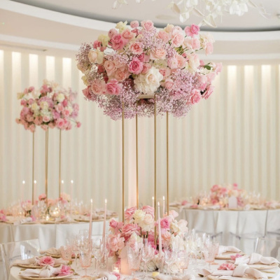 Aimee Dunne Ltd photo