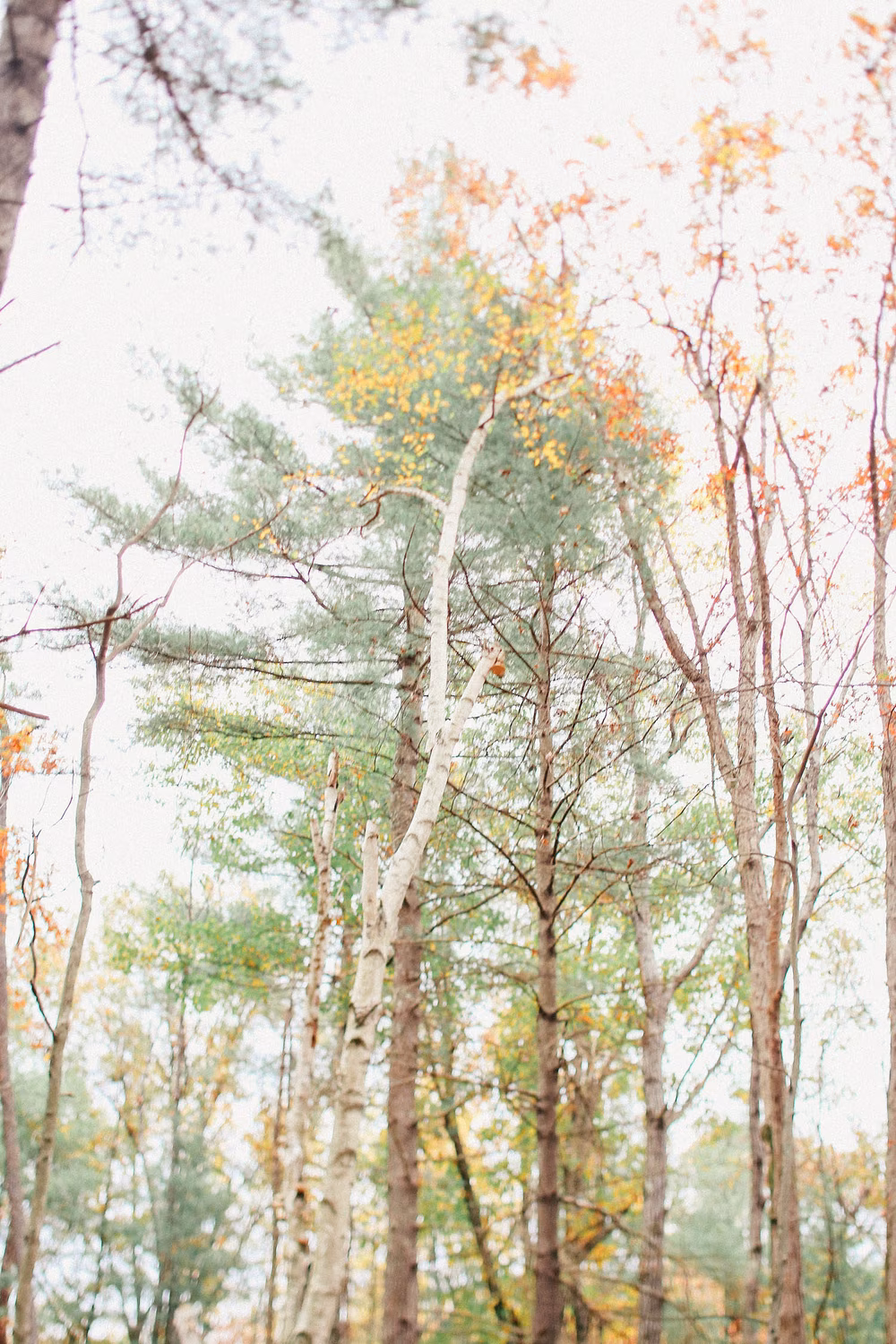 Joanna-Josh-Megan-Haley-Photography-21