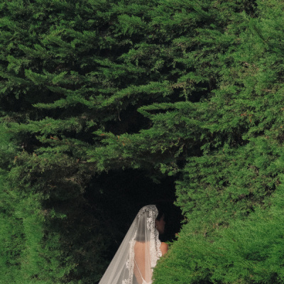 Dalmare Photo photo