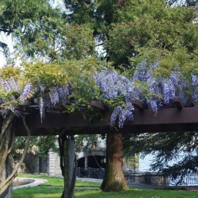 Villa Rubini Redaelli photo