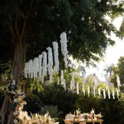 Casa Velas photo