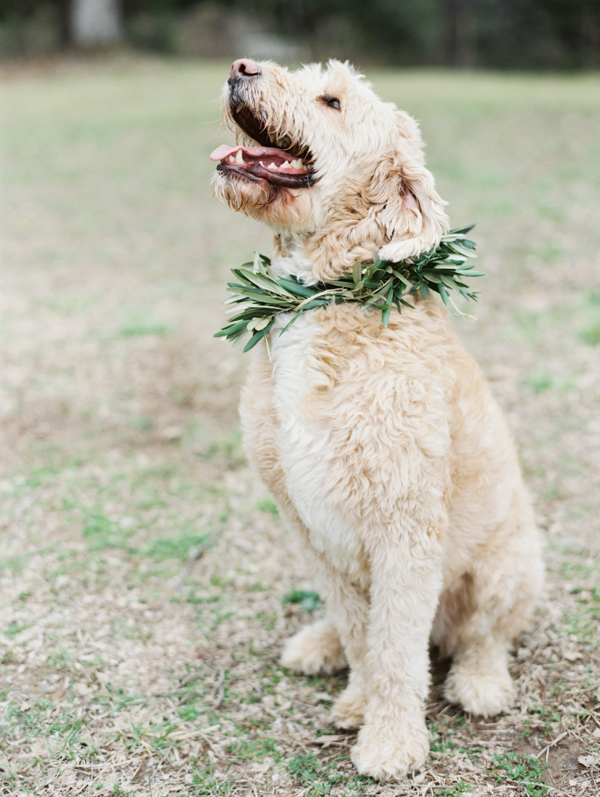 romantic pastoral wedding on a Tennessee farm with photos by Erich McVey | via junebugweddings.com romantic pastoral wedding on a Tennessee farm with photos by Erich McVey | via junebugweddings.com