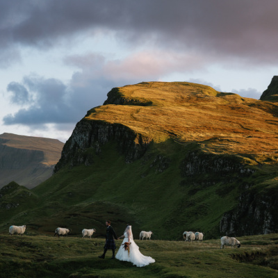Sunny destination wedding photo with sheep on the Isle of Skye, Scotland