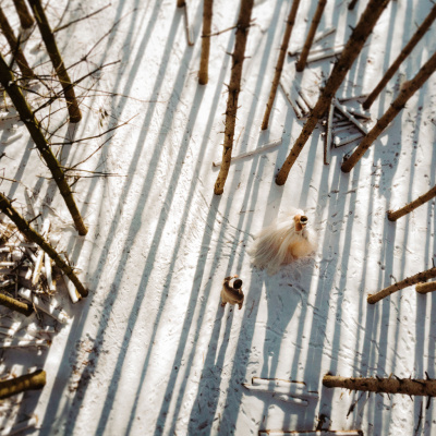 Photographed in Vaughan, Ontario, Canada by Inna Yasinska of Inna Yasinska Photography