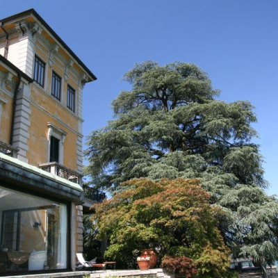 Villa Rubini Redaelli photo