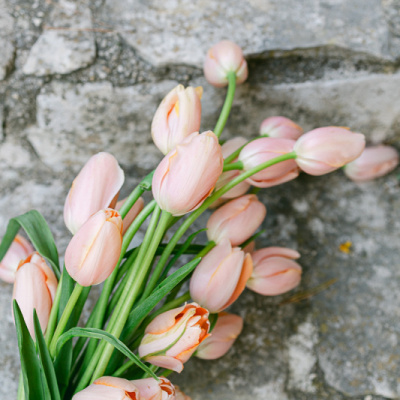 Margaux Kanarek Photography photo