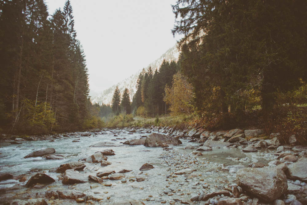 Forest-Engagement-in-Italy-1