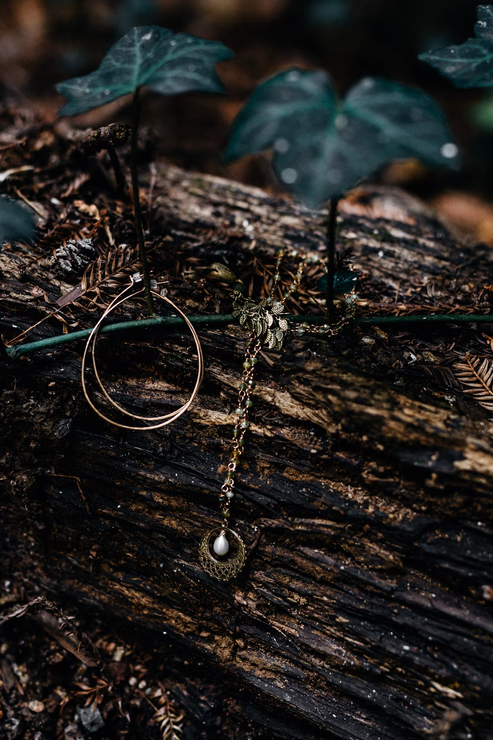 erinwheatcobigsur-5192