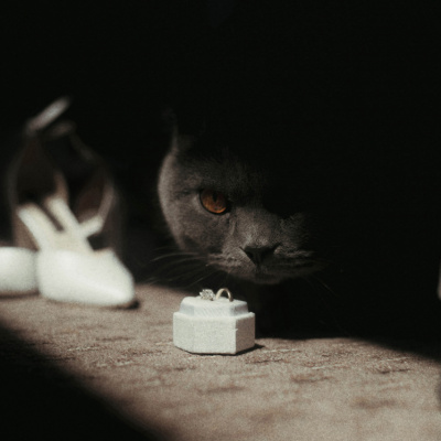 Image by Ionut Lucian Ianos of Lens Stories taken in Bucharest, Romania