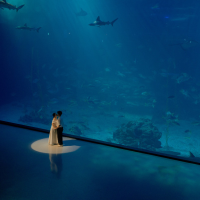 Artistic wedding portrait in an aquarium