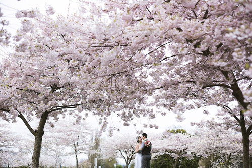 spring engagement photos by Kunioo | via junebugweddings.com spring engagement photos by Kunioo | via junebugweddings.com