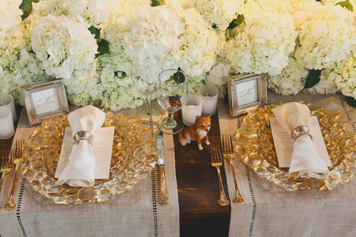 soft pink and nude wedding color palette - Texas wedding photos by Christina Carroll Photography via junebugweddings.com soft pink and nude wedding color palette - Texas wedding photos by Christina Carroll Photography via junebugweddings.com