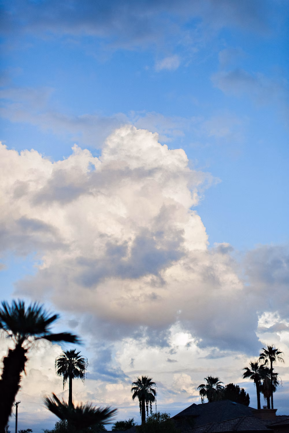 Rainy-Phoenix-Wedding-25