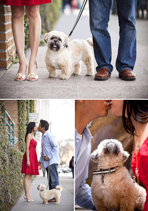 Wedding ideas for including your dog in your wedding! Photos by Jules Bianchi Photography via JunebugWeddings.com Wedding ideas for including your dog in your wedding! Photos by Jules Bianchi Photography via JunebugWeddings.com