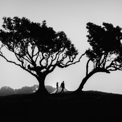 Miguel Ponte photo