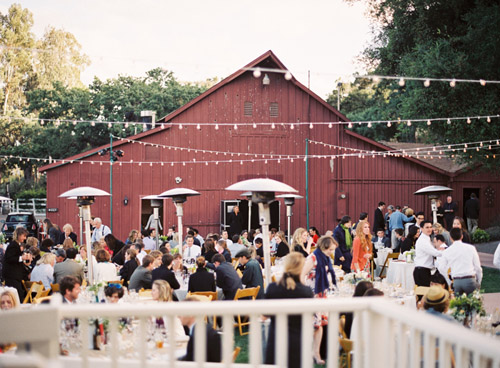 rustic yellow and champagne vineyard wedding in Santa Ynez, CA - photos by Michelle Warren Photography| jvia unebugweddings.com rustic yellow and champagne vineyard wedding in Santa Ynez, CA - photos by Michelle Warren Photography| jvia unebugweddings.com