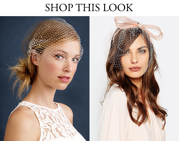 birdcage veil