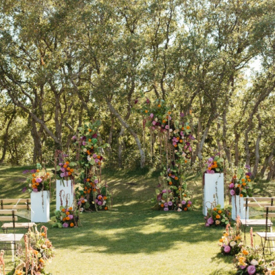 KARAKARA BLOOMS photo