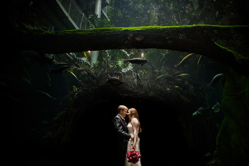 California Academy of Sciences Wedding - photos by Cliff Brunk Photograpy | Junebug Weddings California Academy of Sciences Wedding - photos by Cliff Brunk Photograpy | Junebug Weddings