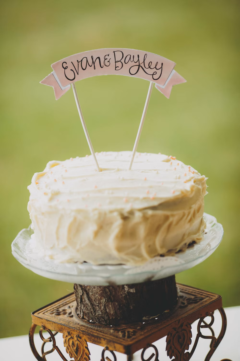 The Carrs Photography | Studio