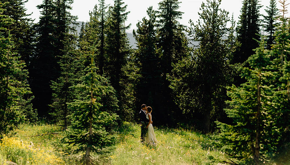 Wildflower-Wedding-at-Manning-Park (22 of 35)