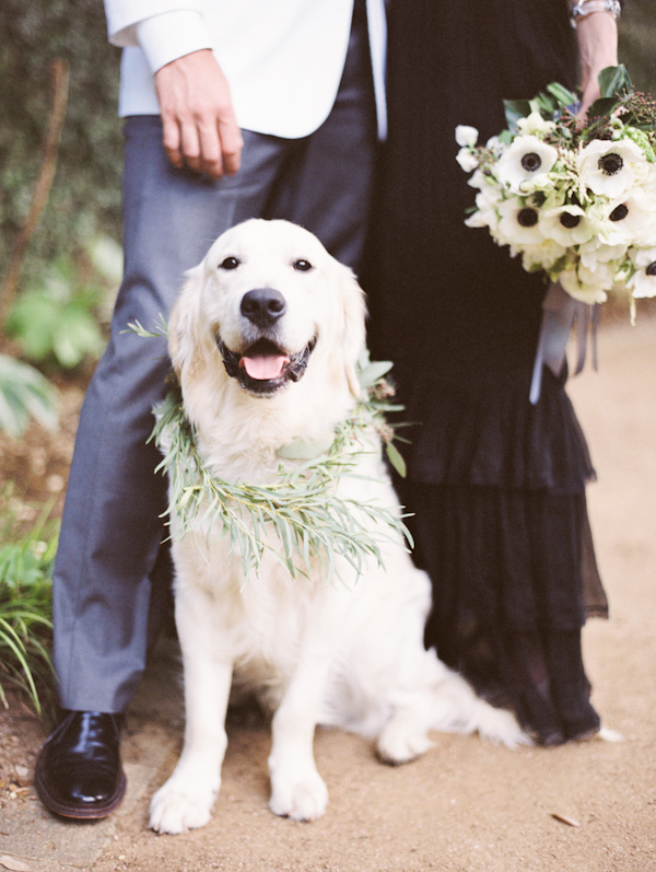 organic black & white wedding inspiration photo shoot, photo by Taylor Lord Photography | via junebugweddings.com organic black & white wedding inspiration photo shoot, photo by Taylor Lord Photography | via junebugweddings.com
