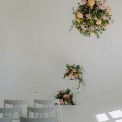 KARAKARA BLOOMS photo