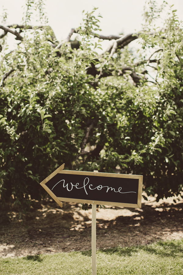 baby-blue-michigan-wedding-on-an-apple-orchard-17