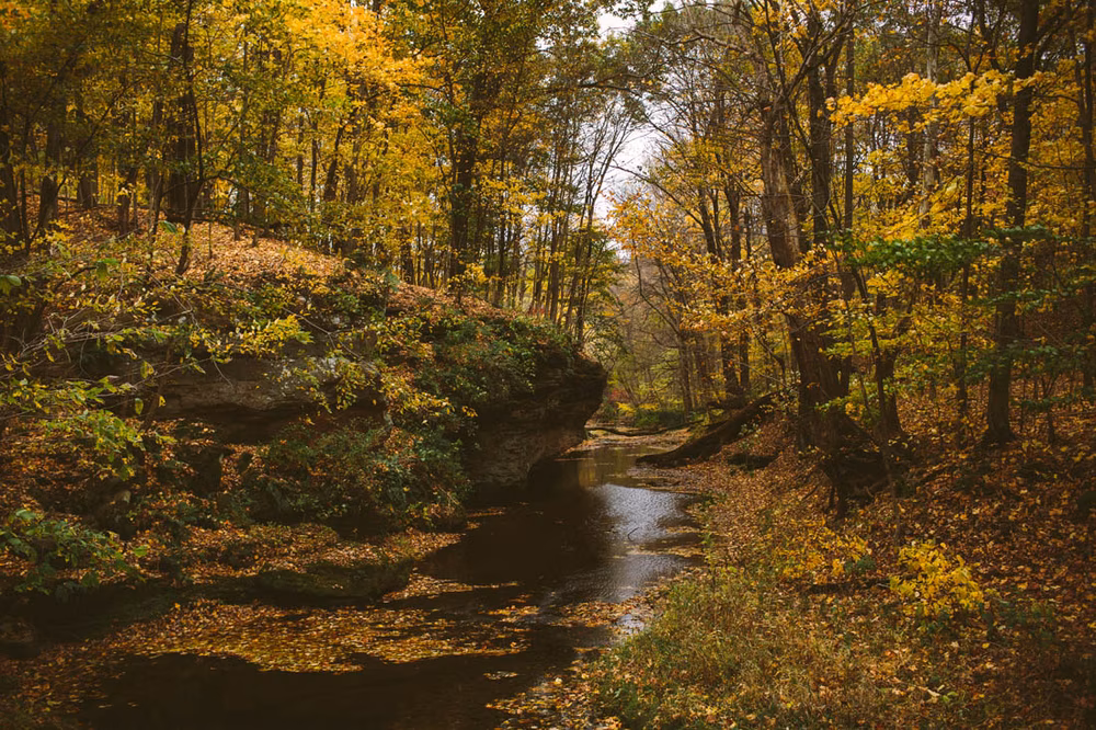 Cozy-Forest-Wedding-Rockmill-Brewery-Adam-Lowe-Photography (37 of 42)