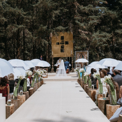 Breathless Wedding Chronicles photo