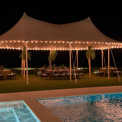 Francesca Robiou Weddings & Events photo